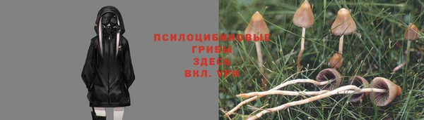 спиды Михайловка