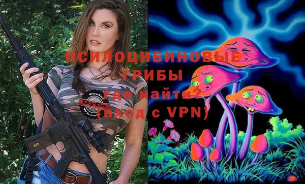 эйфоретик Абаза