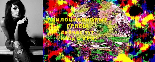 бутират Алексин