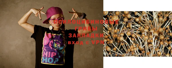 ECSTASY Алзамай